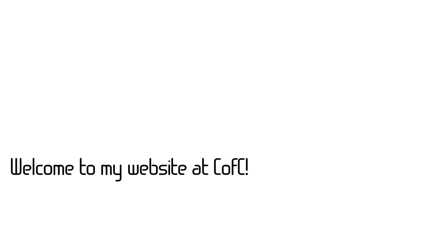 Welcome to my website at CofC!